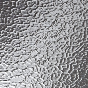 Arctic Glass Ferndown